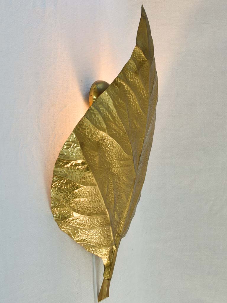 Wall sconce (Tomasso Barbi) golden rhubarb leaf, 30"