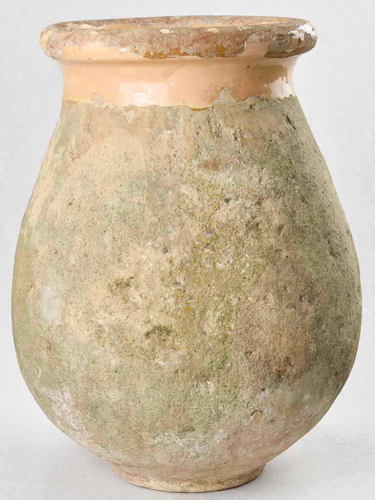 Antique French Biot olive jar 22½"