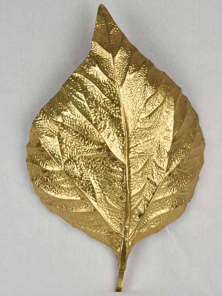 Wall sconce (Tomasso Barbi) golden rhubarb leaf, 30"