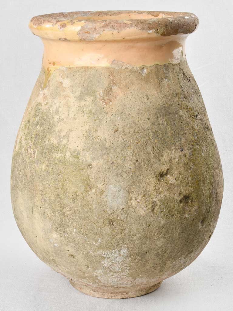 Antique French Biot olive jar 22½"