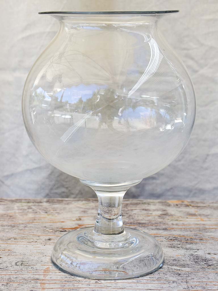 Antique French glass apothecary jar - sangsue