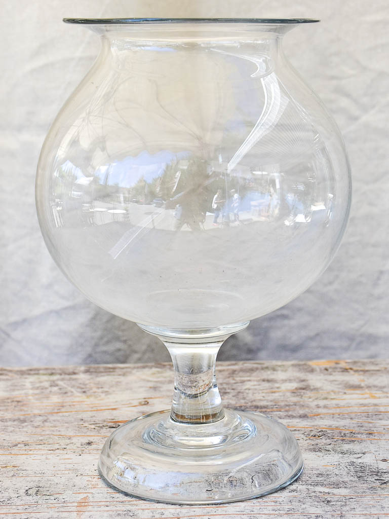 Antique French glass apothecary jar - sangsue