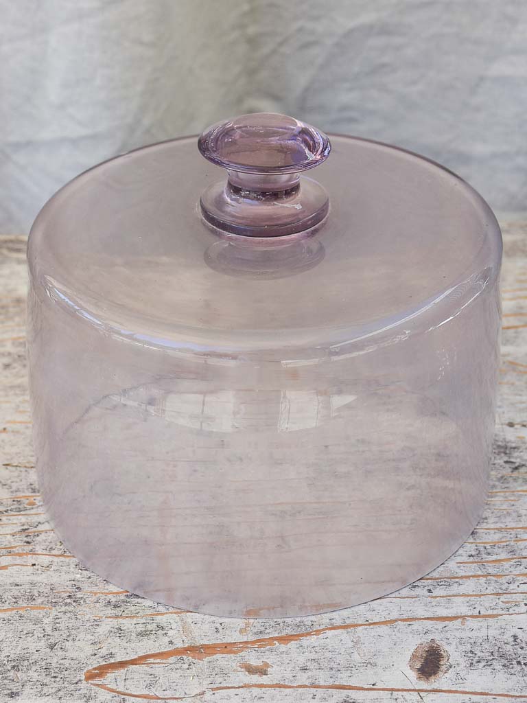 Hand-Blown Purple Glass Patisserie Globe Cloche