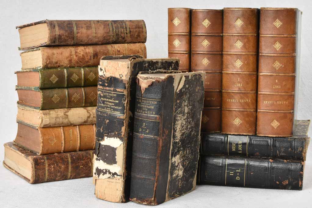 Collection of fifteen antique French books