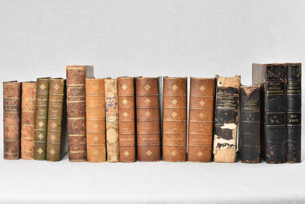 Collection of fifteen antique French books