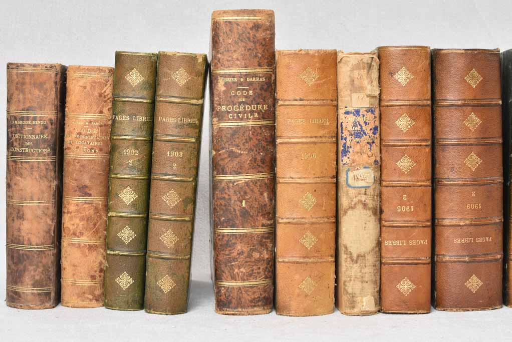 Collection of fifteen antique French books