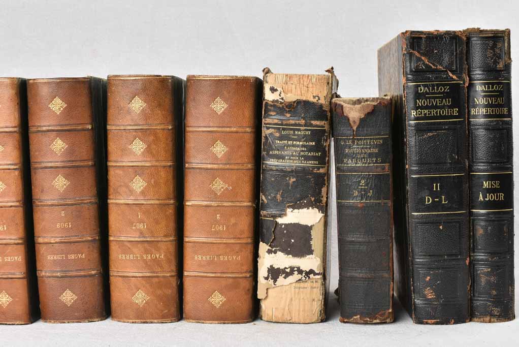 Collection of fifteen antique French books