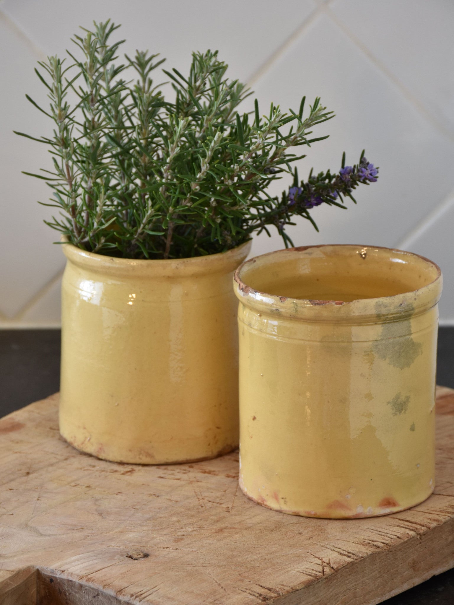 19th century French yellow ware preserving jars - two