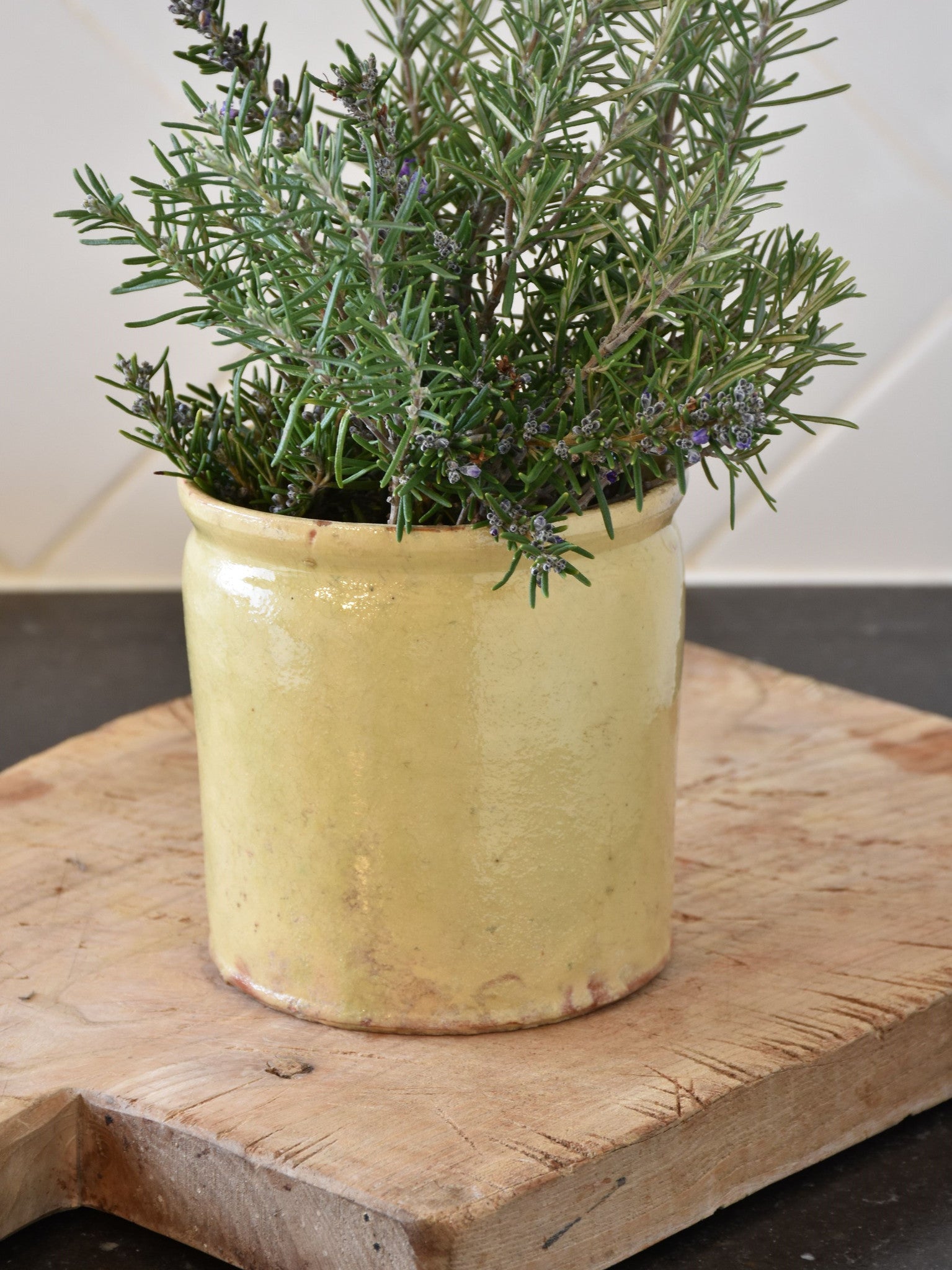 19th century French yellow ware preserving jar – two