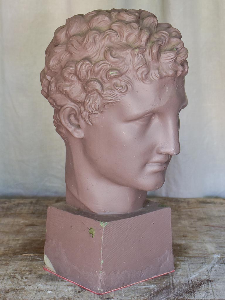 Plaster Bust of a Young Male