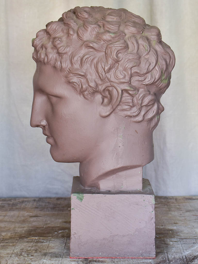 Plaster Bust of a Young Male