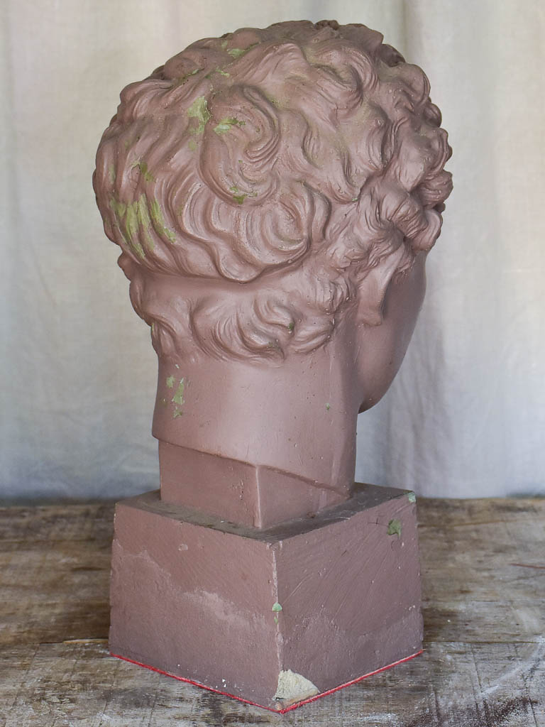 Plaster Bust of a Young Male