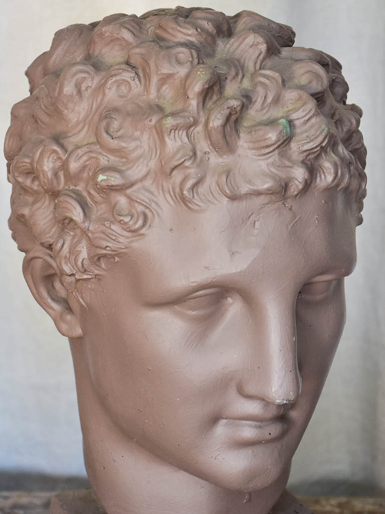 Plaster Bust of a Young Male