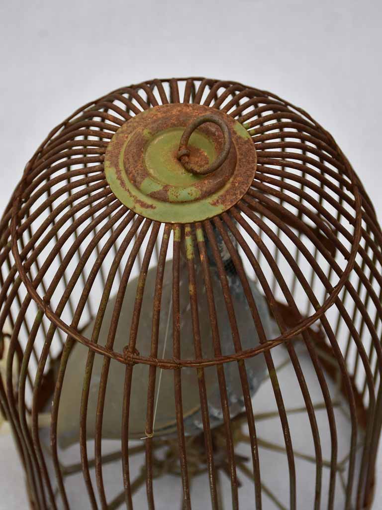 RESERVED DB Rare antique French hunting call bird in cage