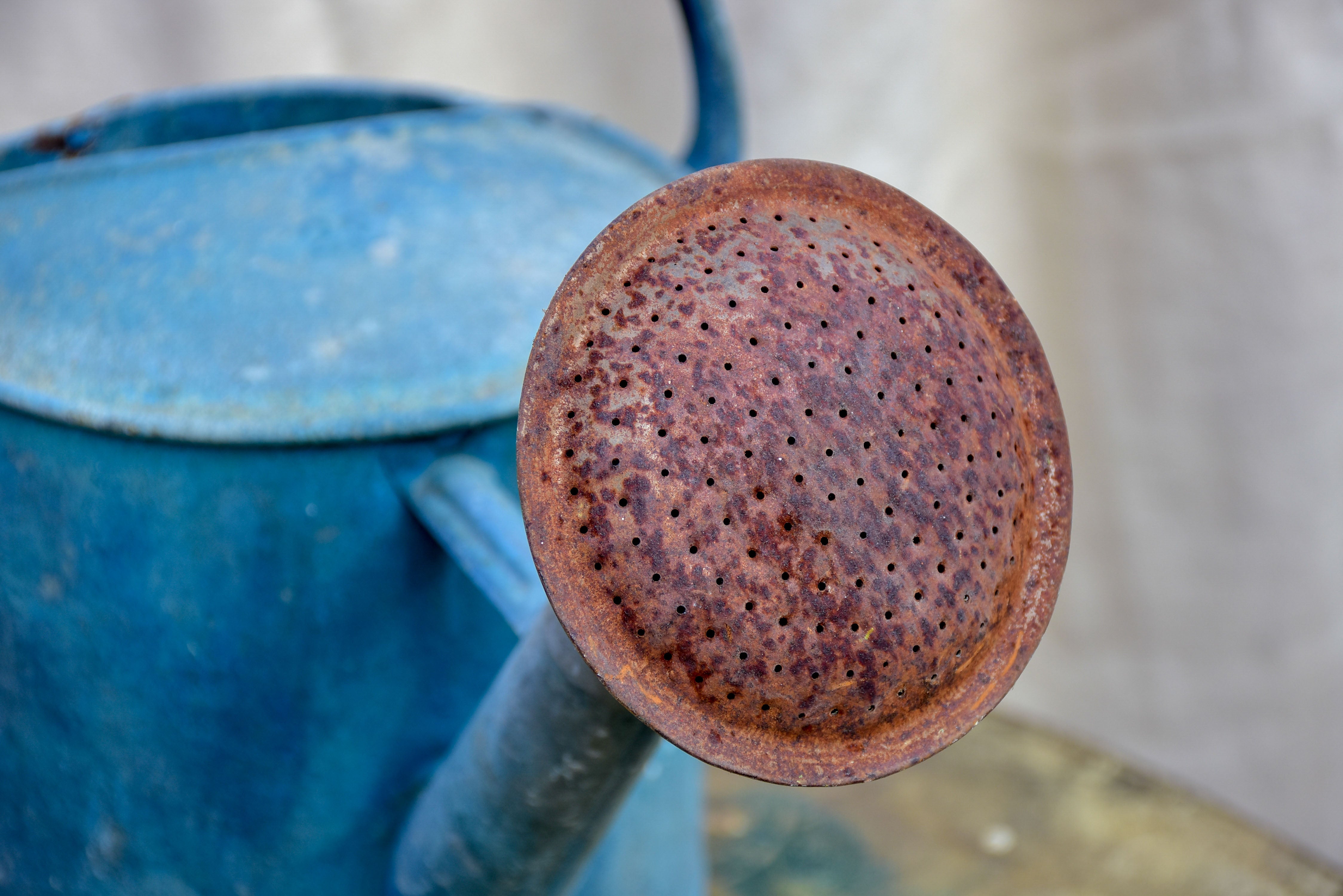 Antique French watering can with blue patina