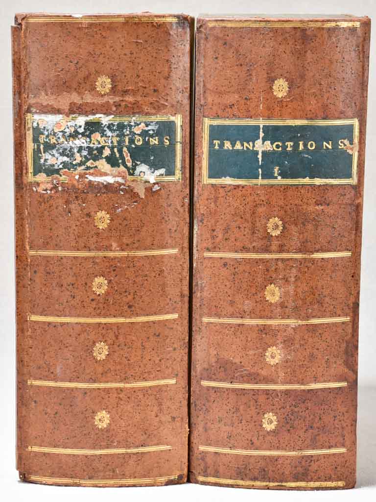 Two antique French wooden faux books 13"