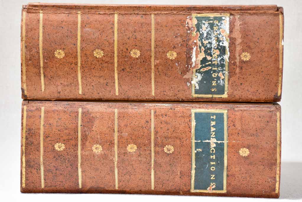 Two antique French wooden faux books 13"