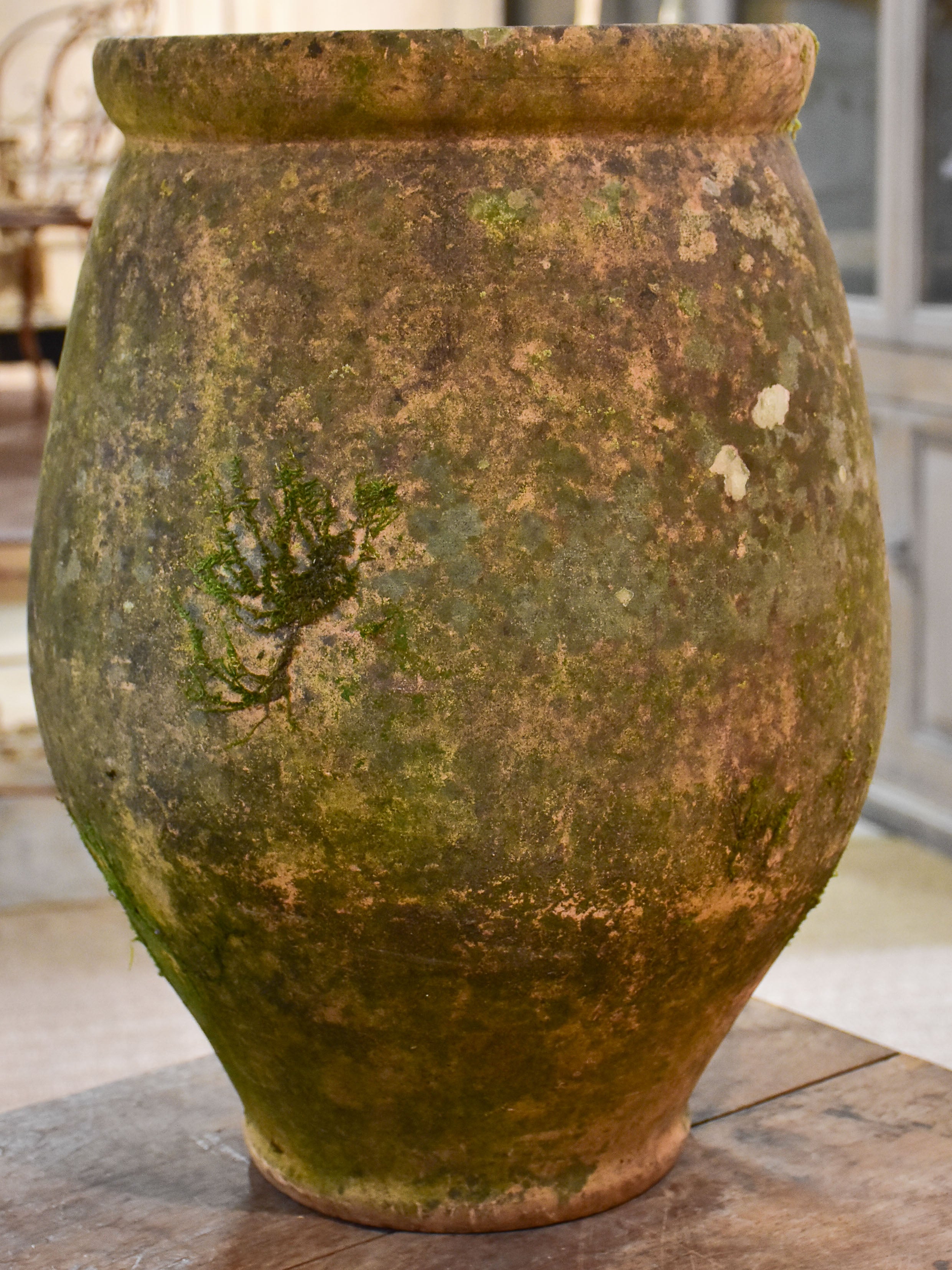 Vintage French garden planter from Castelnaudary