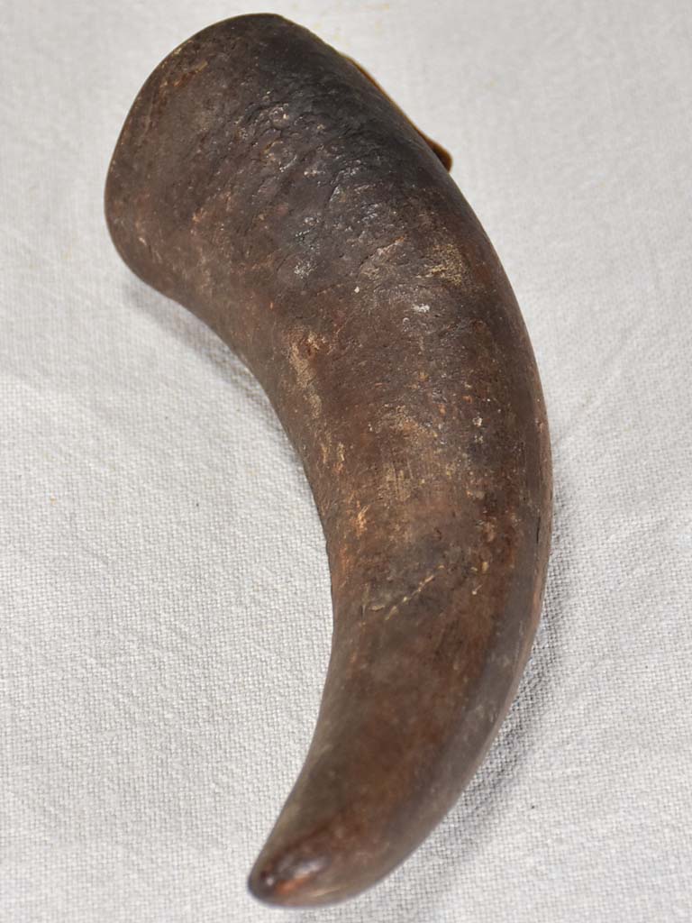 Authentic Antique Belt Hook Holder, Horn