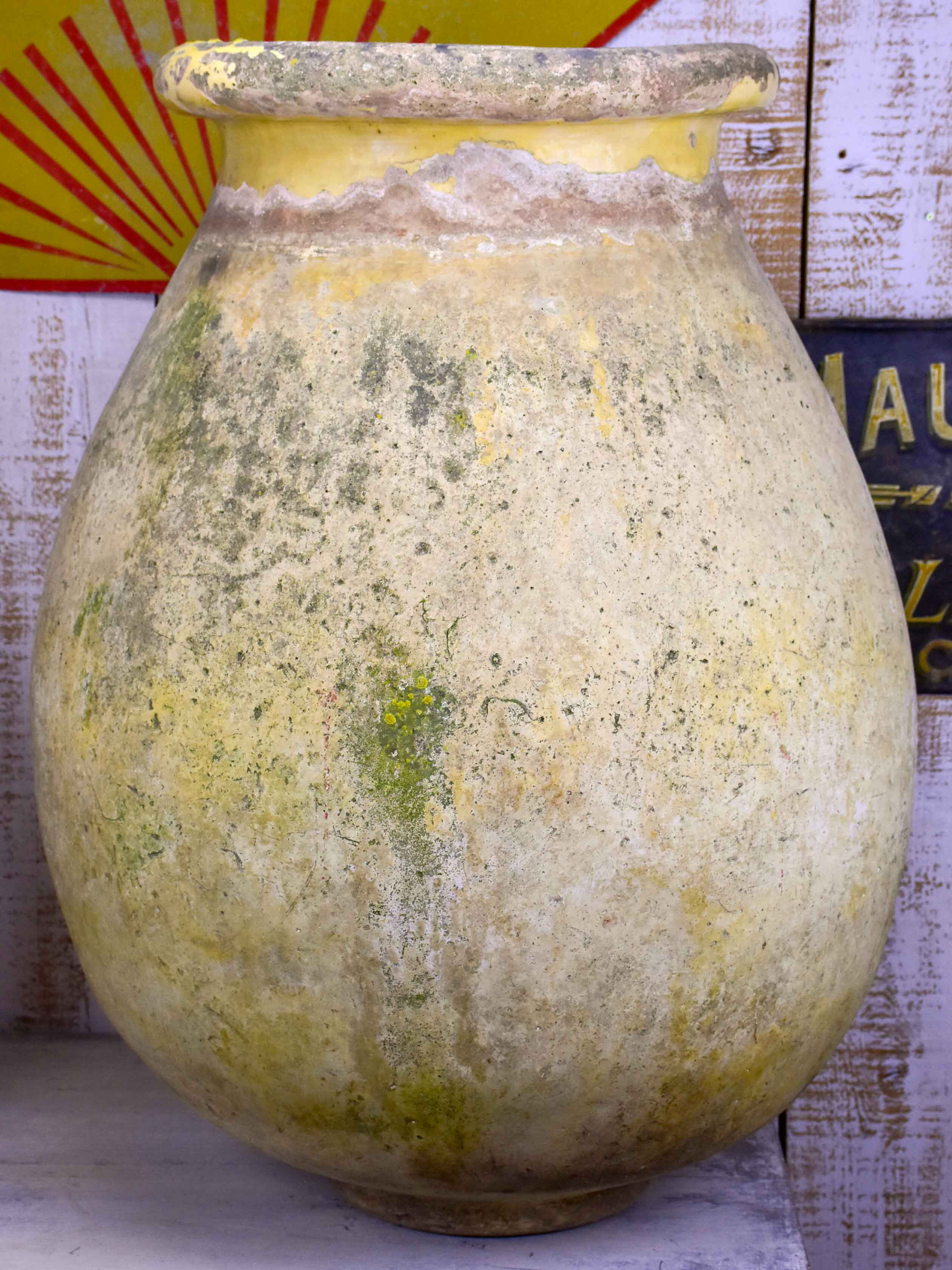 Very large 19th Century French Olive oil jar from Biot