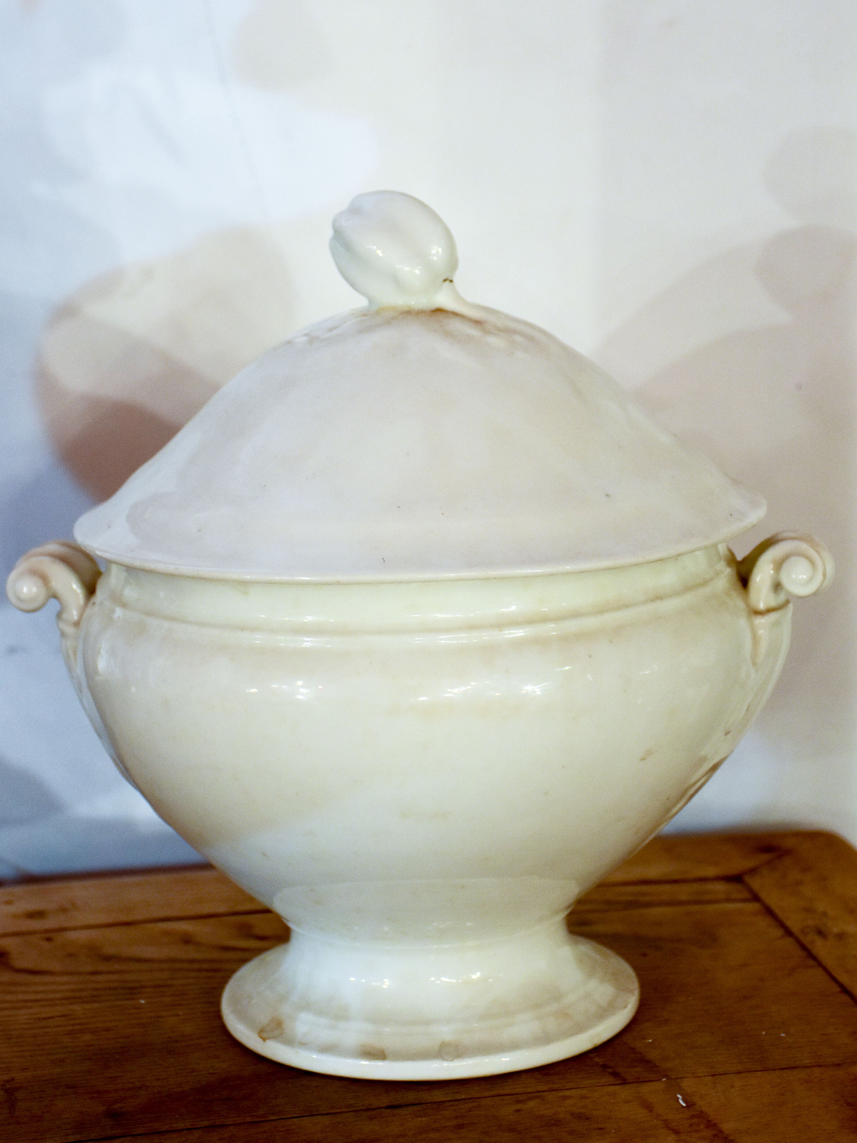 19th century French ironstone soup tureen