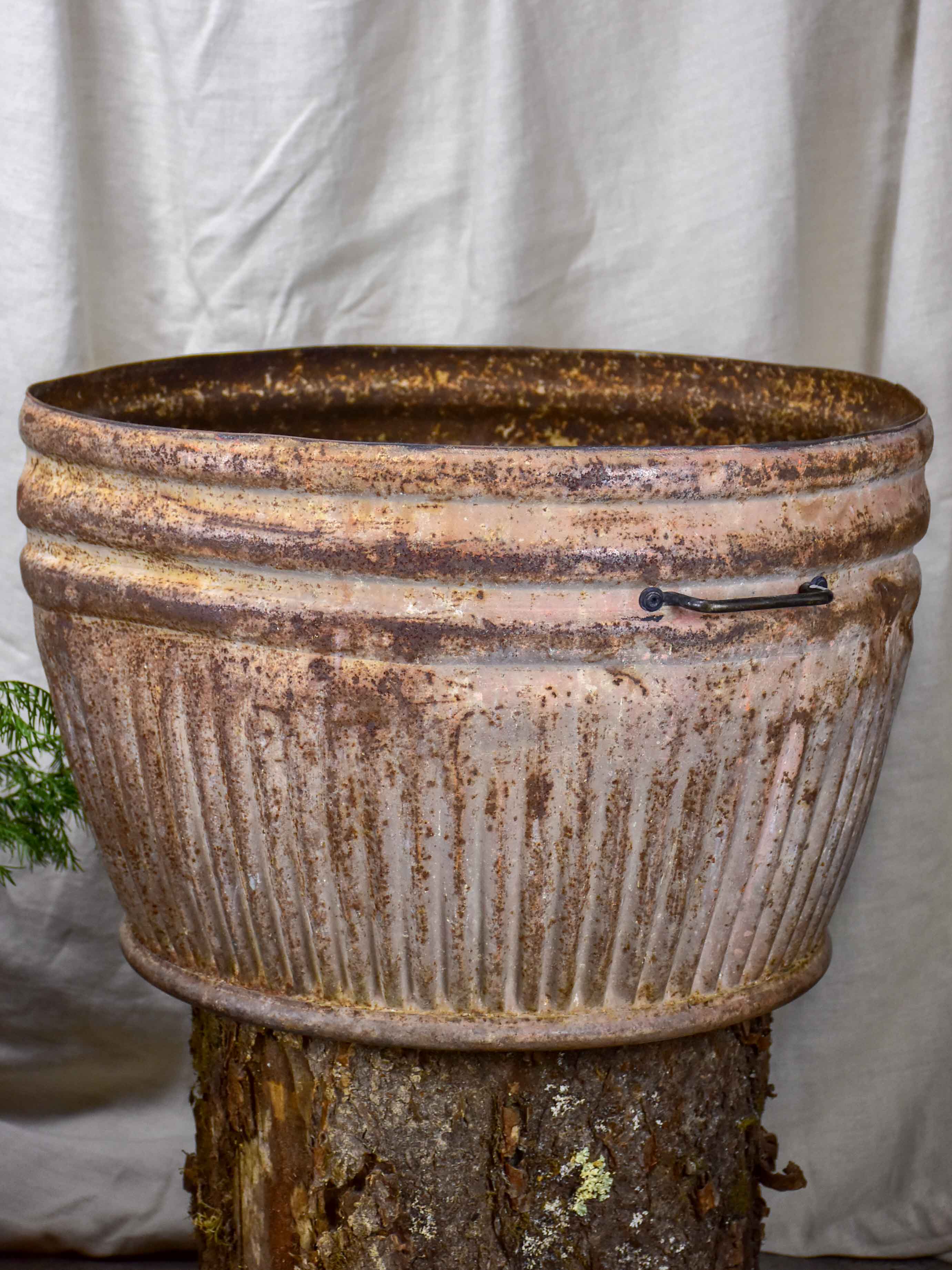 Two very large metal pot plant stands - antique French