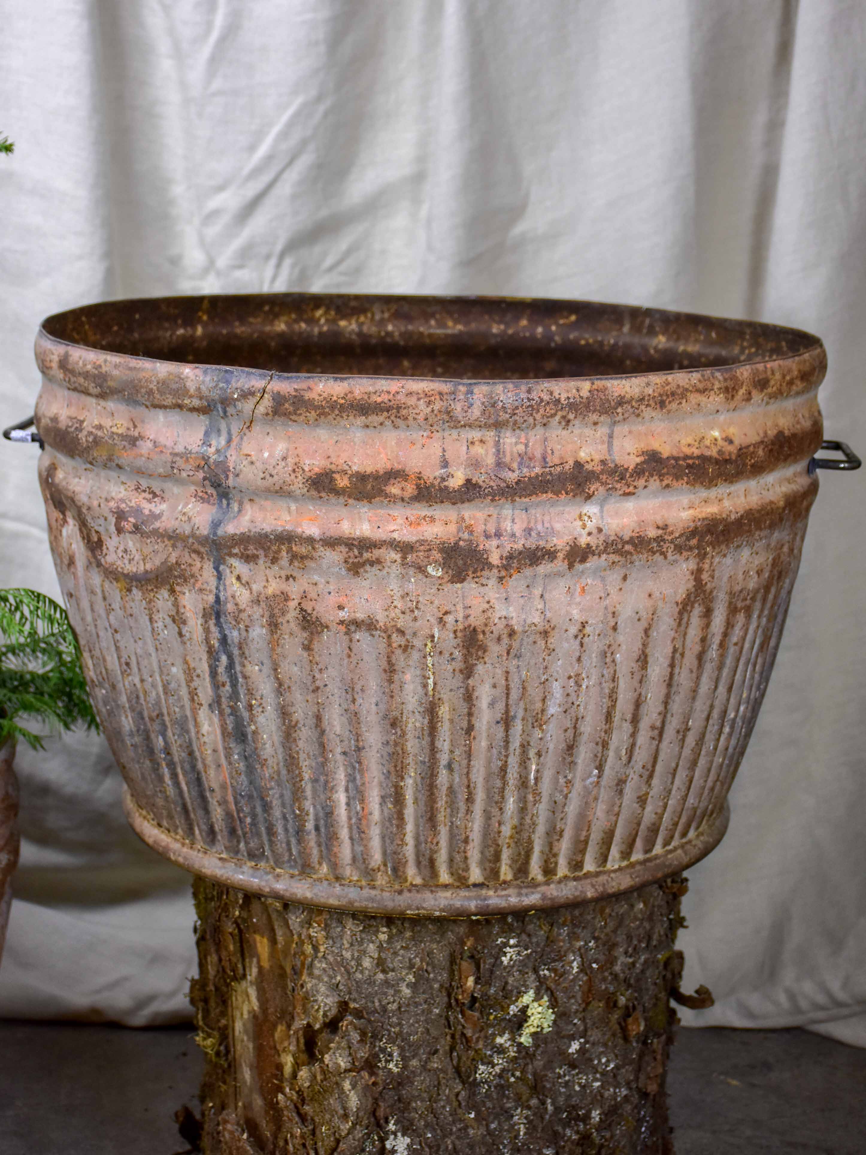 Two very large metal pot plant stands - antique French