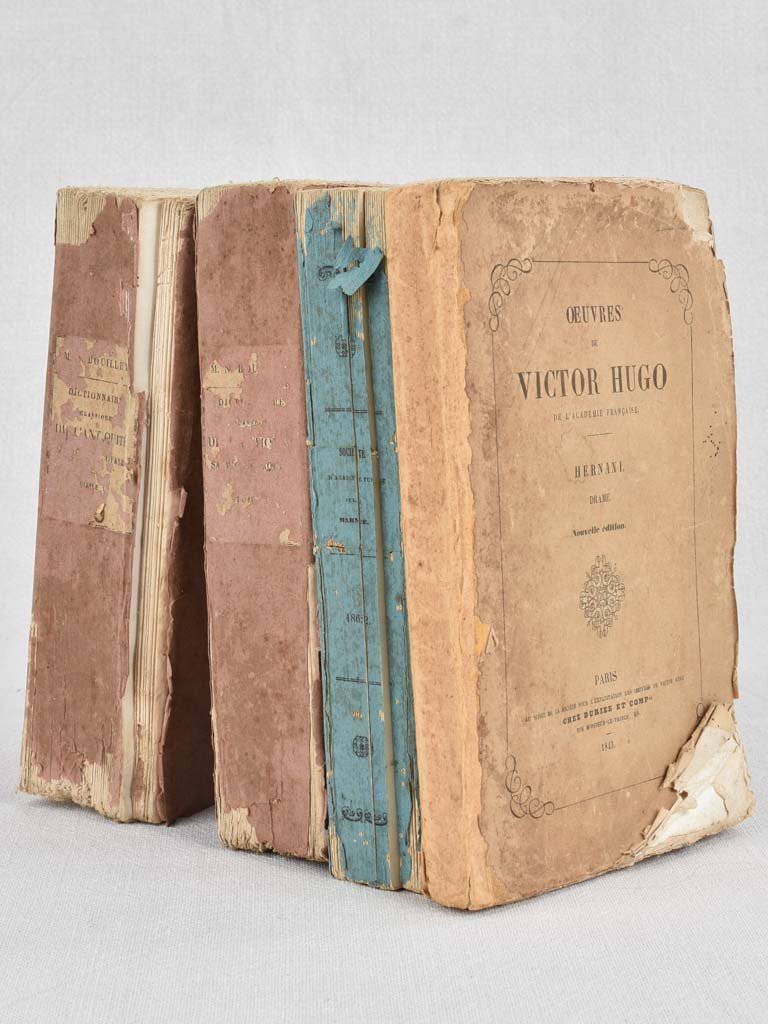 19th Century French Books W/ Victor Hugo – Chez Pluie