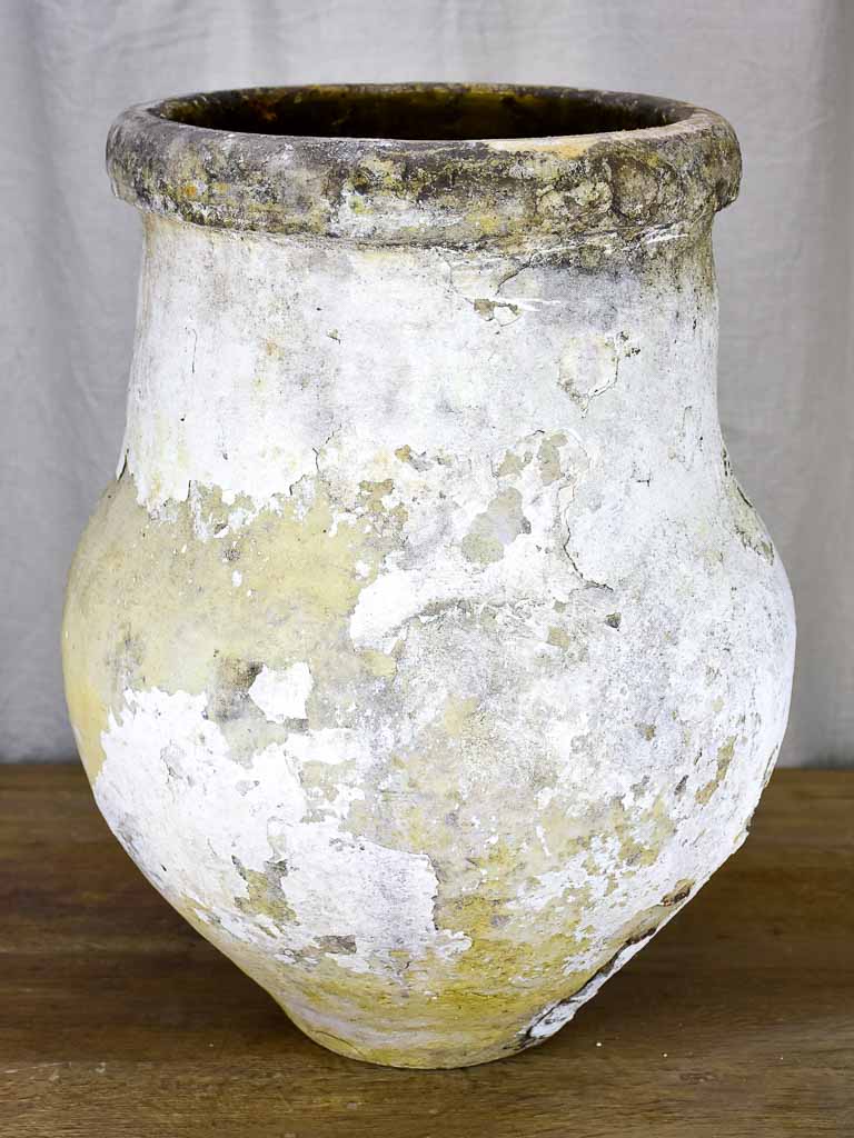 19th Century Spanish olive jar with white patina - 1 of 2