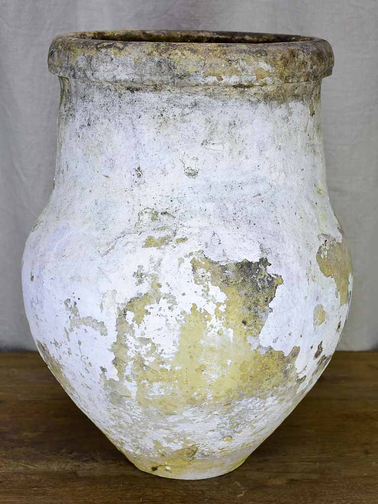 19th Century Spanish olive jar with white patina - 1 of 2