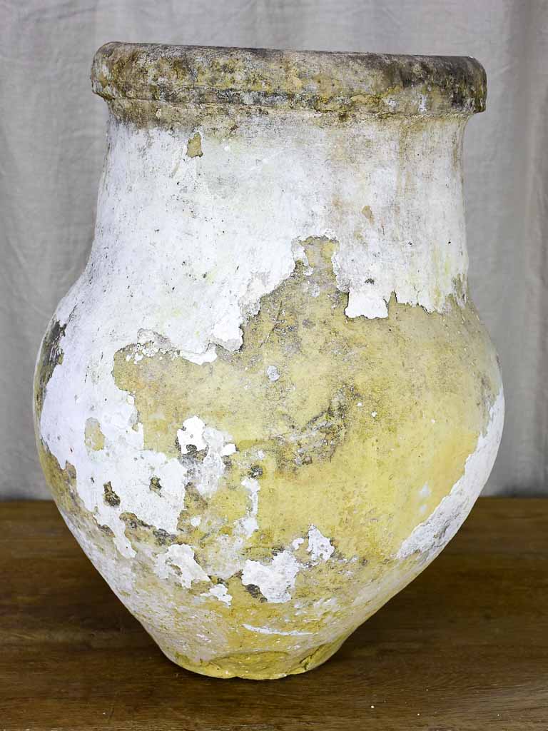 19th Century Spanish olive jar with white patina - 1 of 2