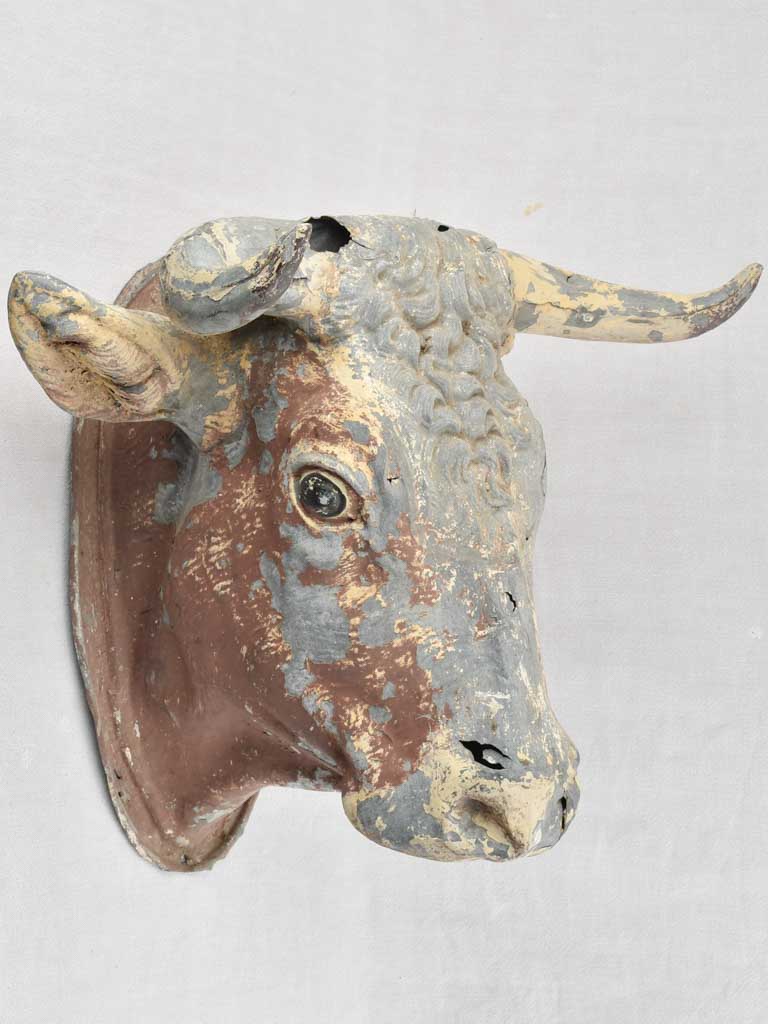 Antique 19th century French cow's head from a butchers shop 21¾"