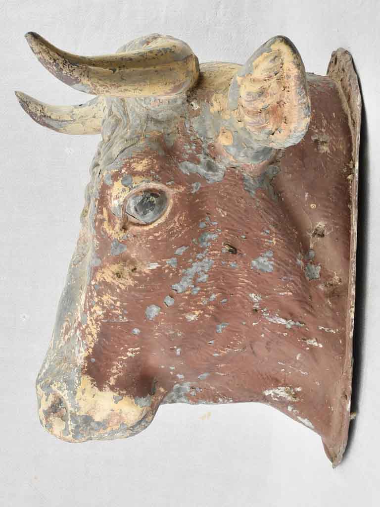 Antique 19th century French cow's head from a butchers shop 21¾"