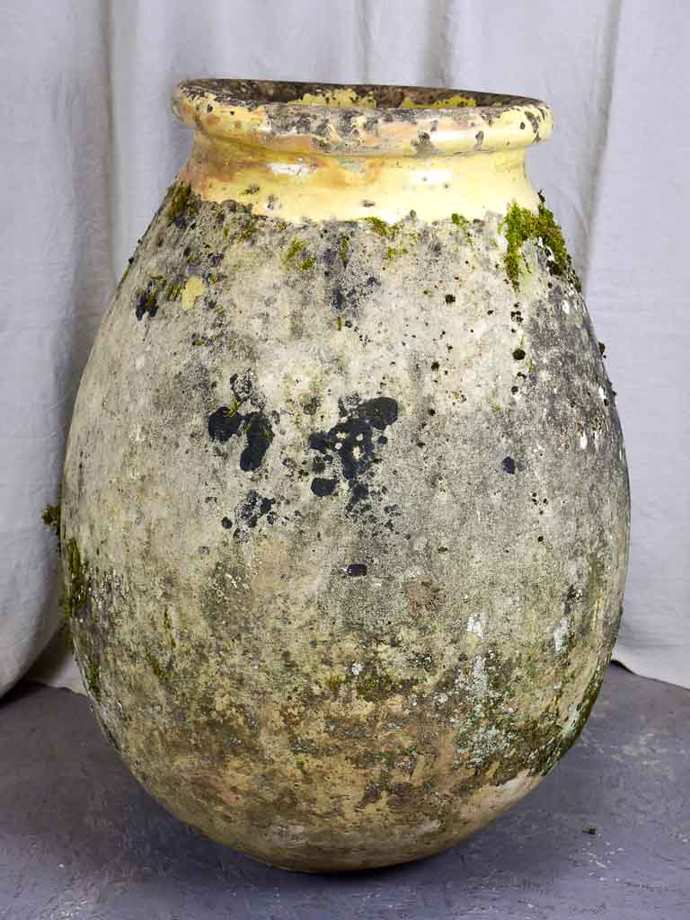 Very large Antique French Biot Jar - olive jar 39¾"