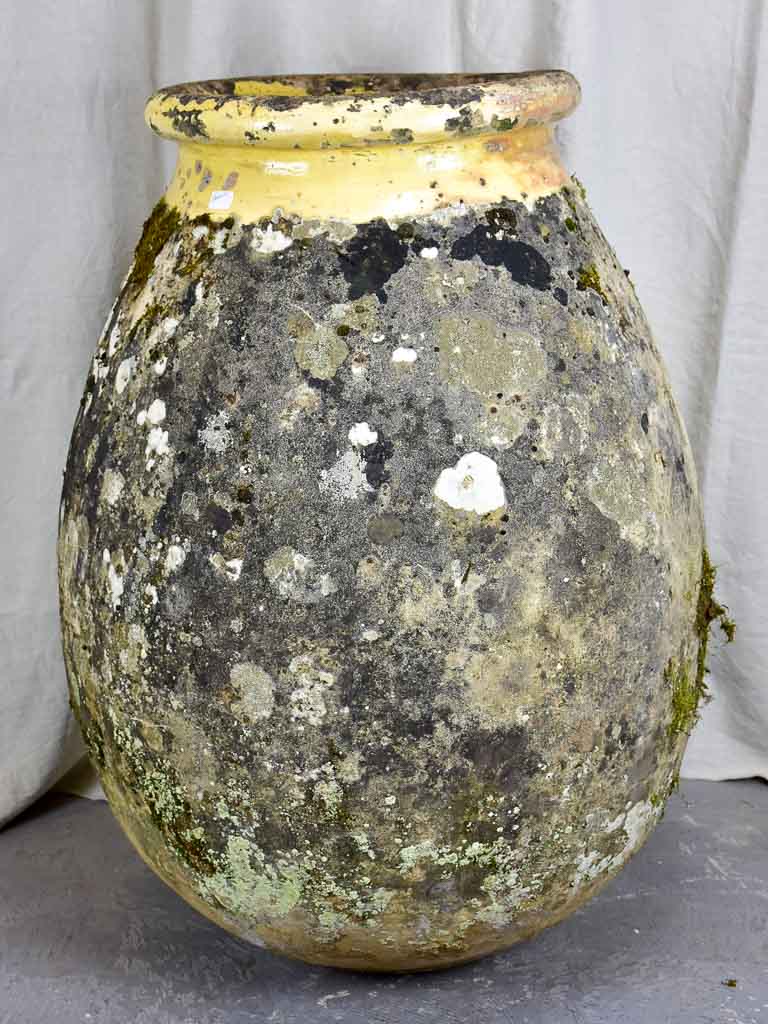 Very large Antique French Biot Jar - olive jar 39¾"