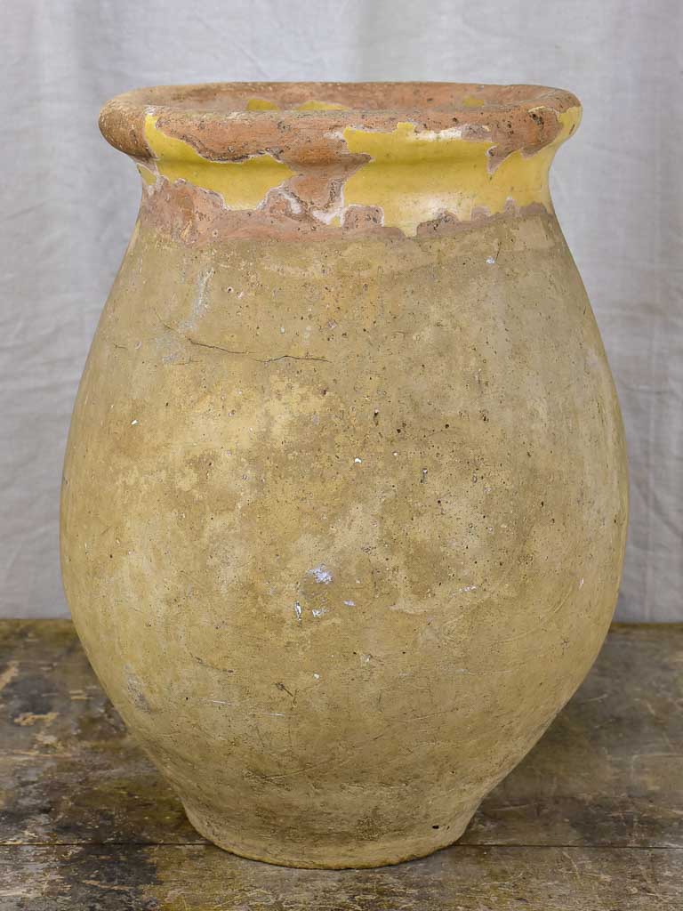 Very small late 18th Century French olive jar from Biot 18½"