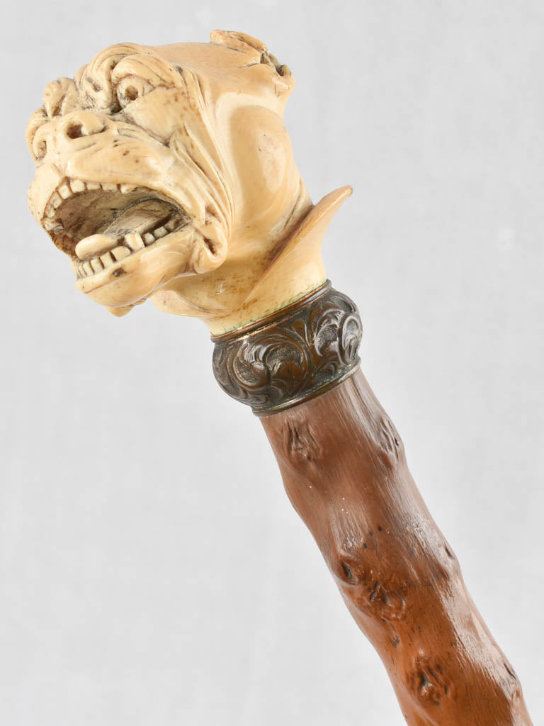 19th century French walking cane with a sculpture of a bulldog 33¾"