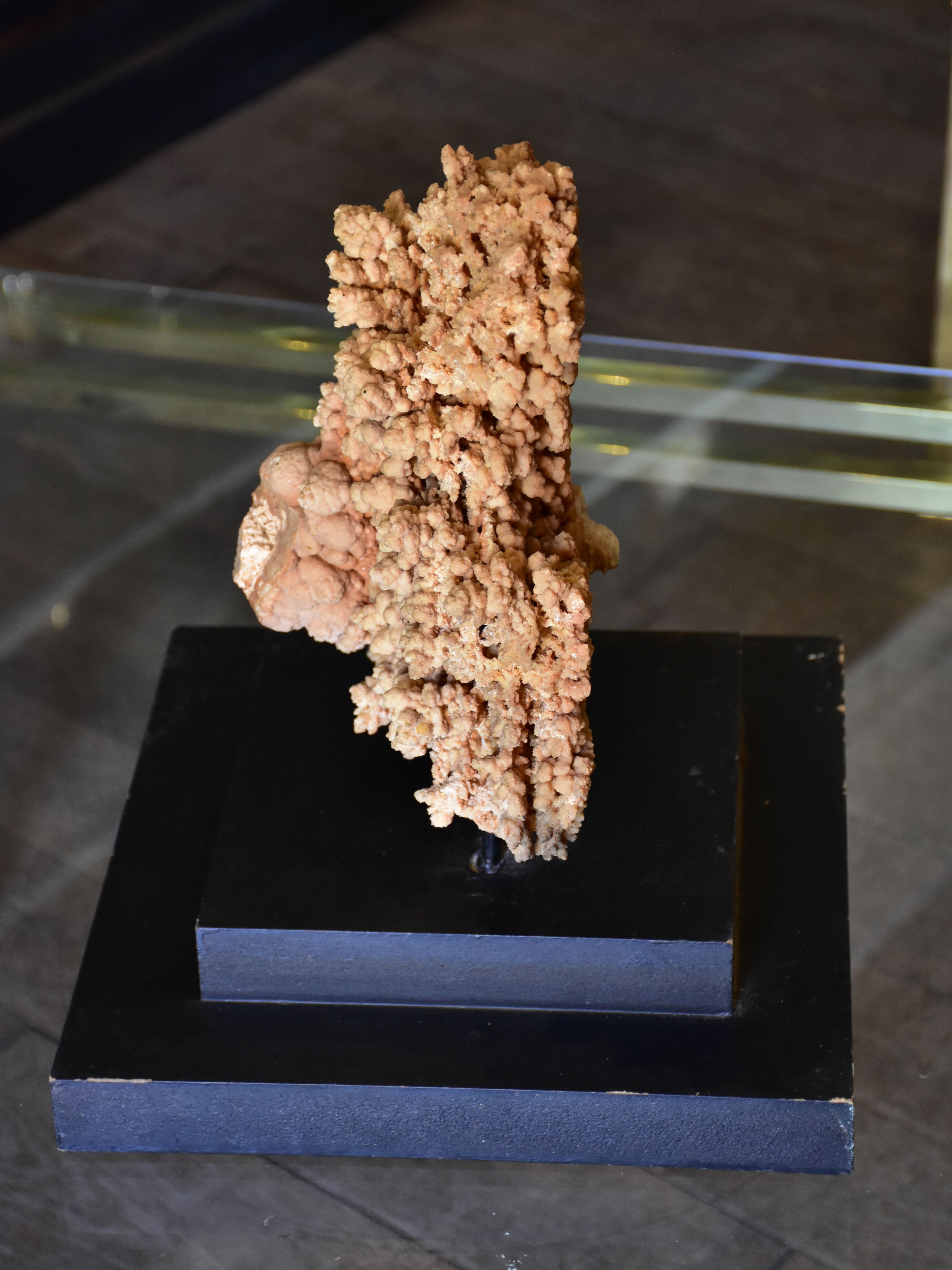 Large mounted coral on two tier square base