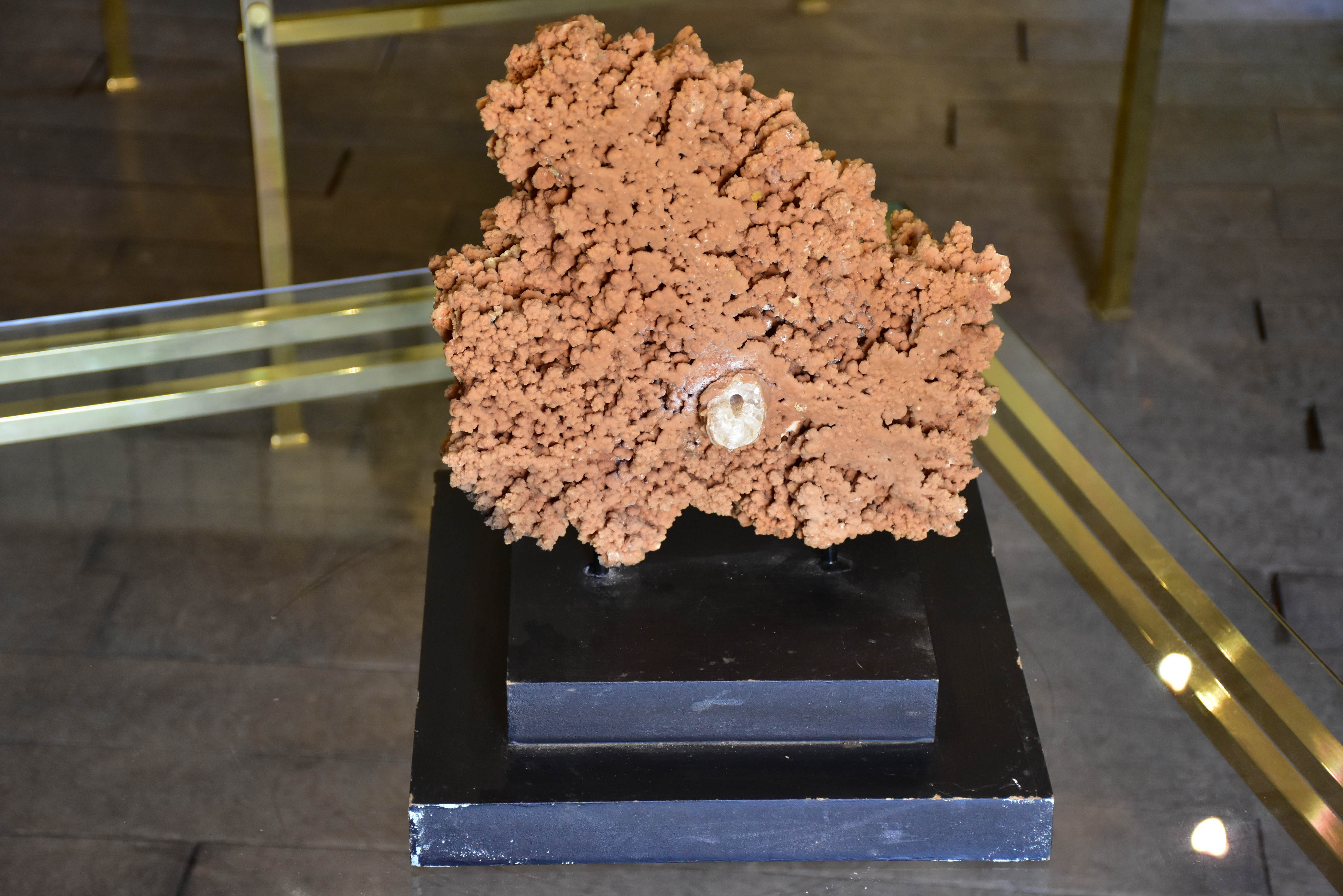 Large mounted coral on two tier square base