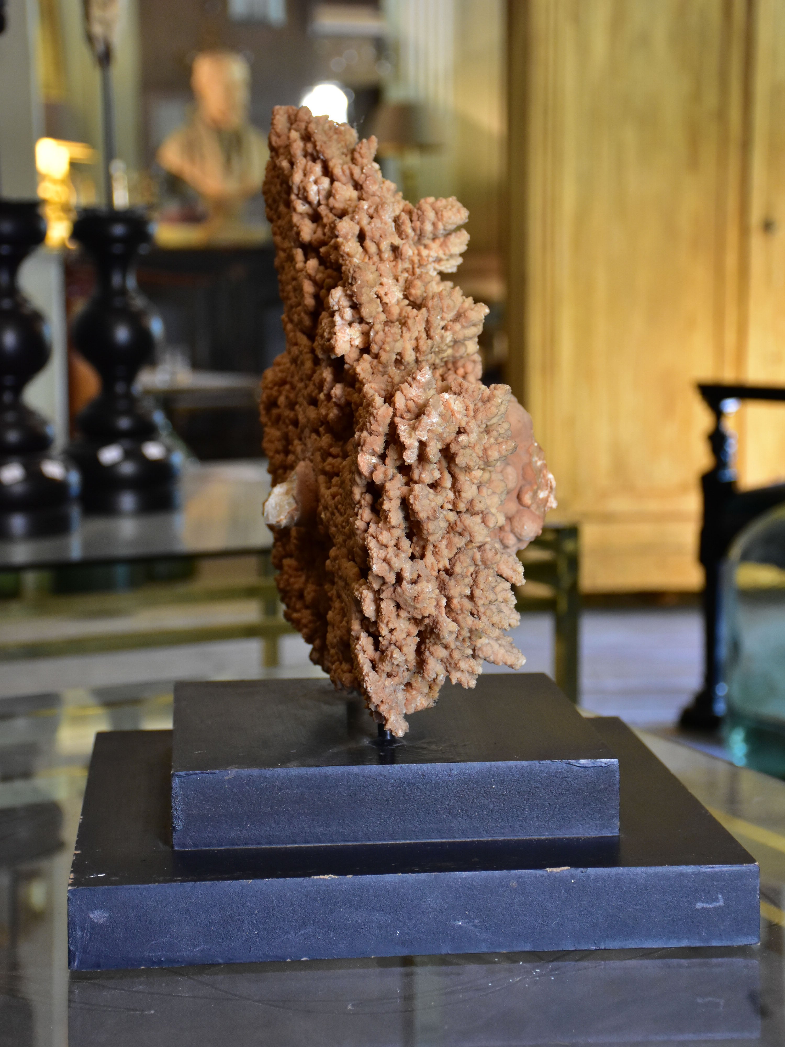 Large mounted coral on two tier square base