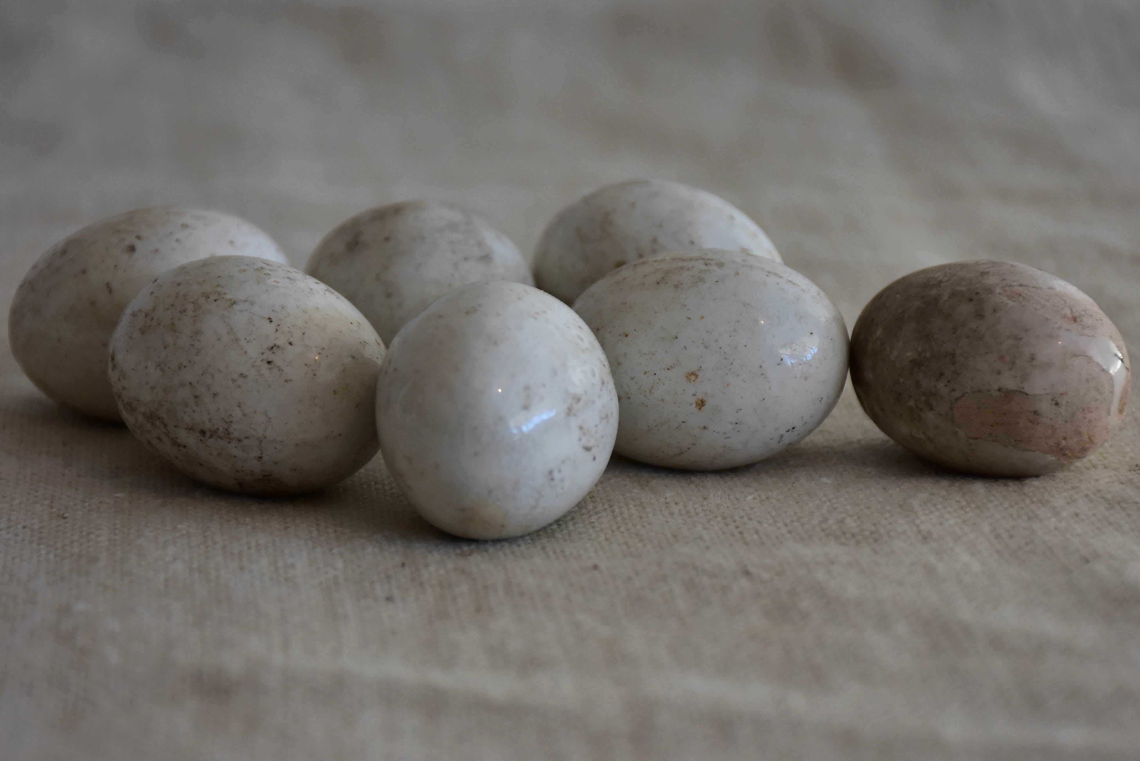 Nine antique French porcelain training eggs