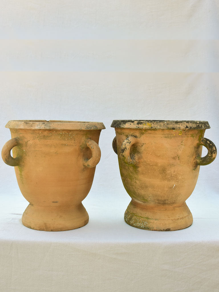 Large pair of terracotta Castelnaudary planters with four handles - 1940's 20"