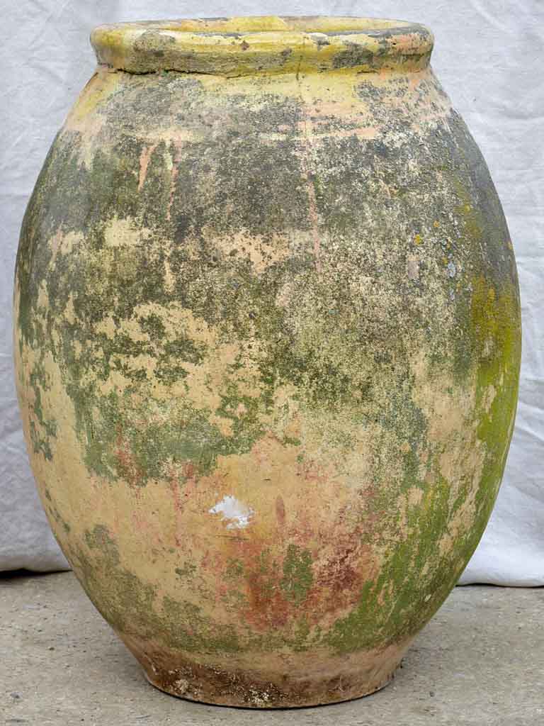 18th Century French Biot olive jar, stamped - 30¾"