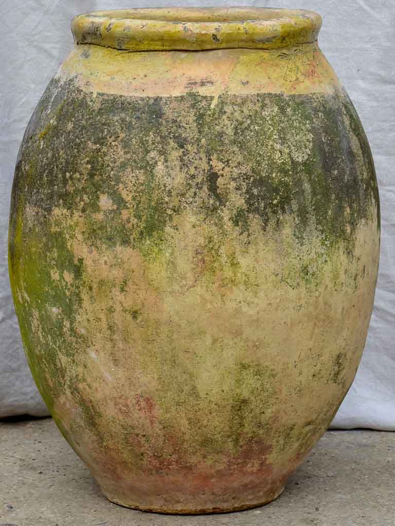 18th Century French Biot olive jar, stamped - 30¾"