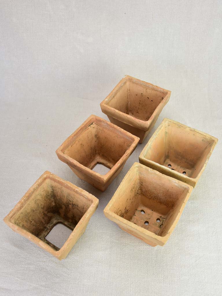 Collection of five antique French square terracotta pots 5½"