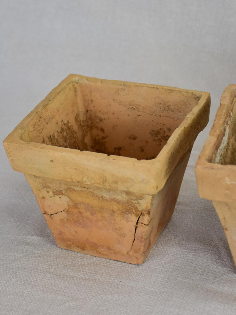 Collection of five antique French square terracotta pots 5½"