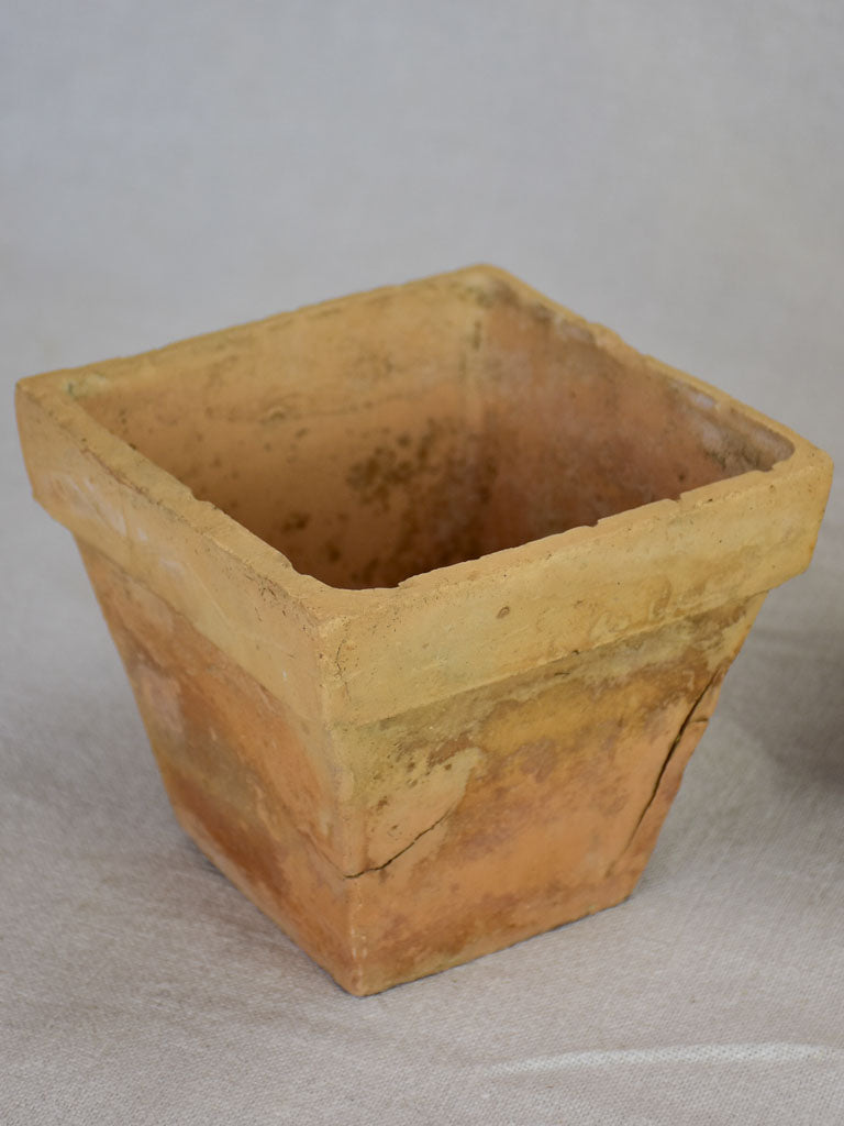 Collection of five antique French square terracotta pots 5½"