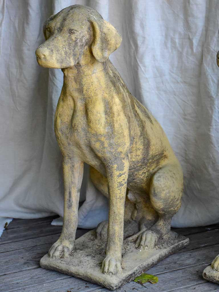 Pair of garden sculptures of dogs - 1950s