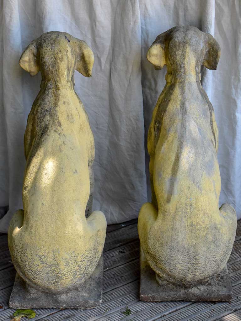 Pair of garden sculptures of dogs - 1950s