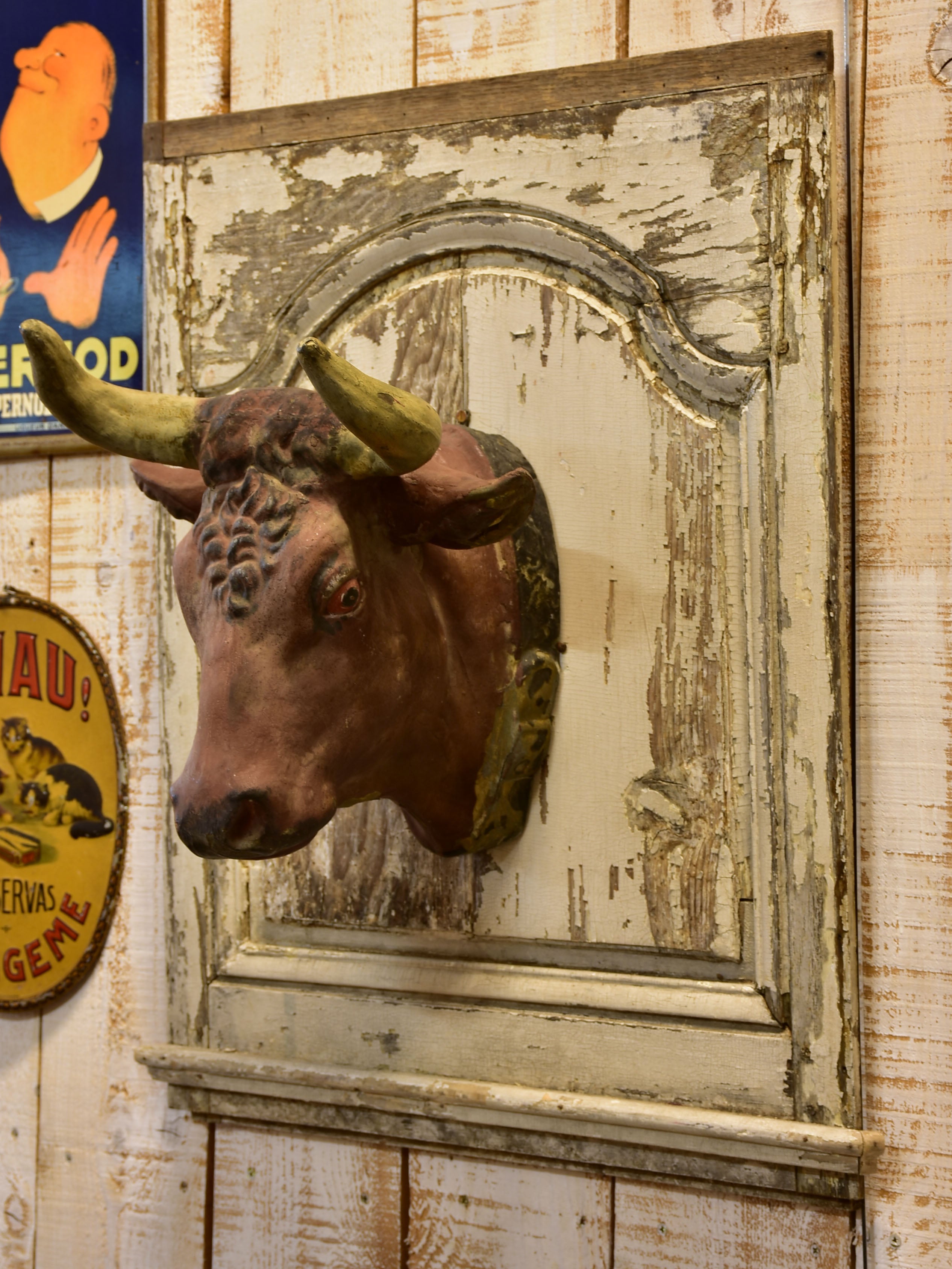 Rustic French cows head from a Butcher’s shop